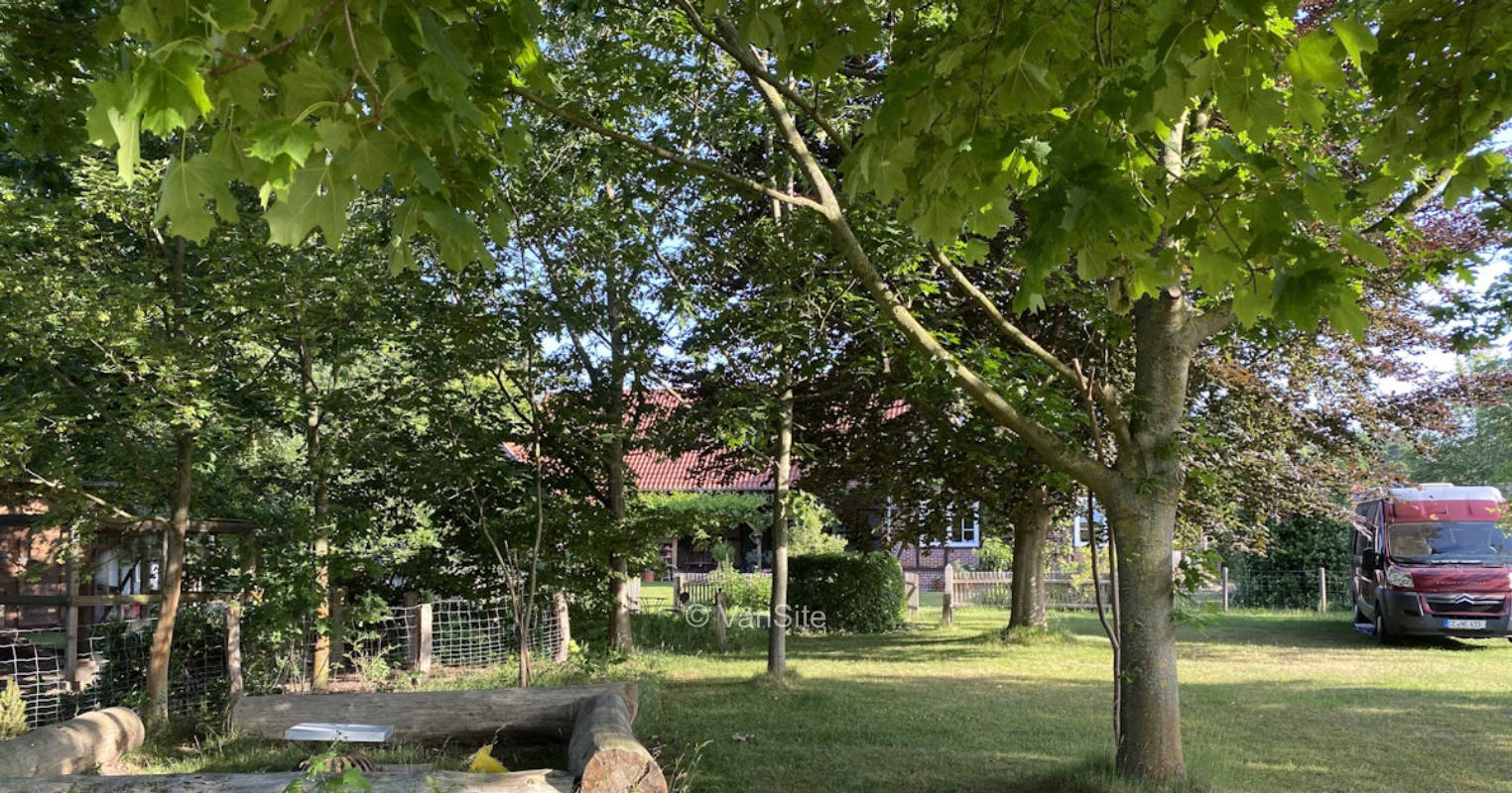 Swiss apple meadow