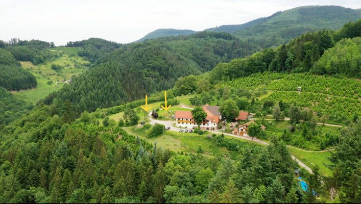 Natur camping holzleberg im schwarzwald mit pool