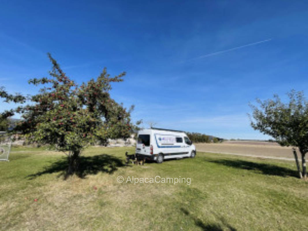 Weitblick auf der Obstbaumwiese hinterm Hof #2