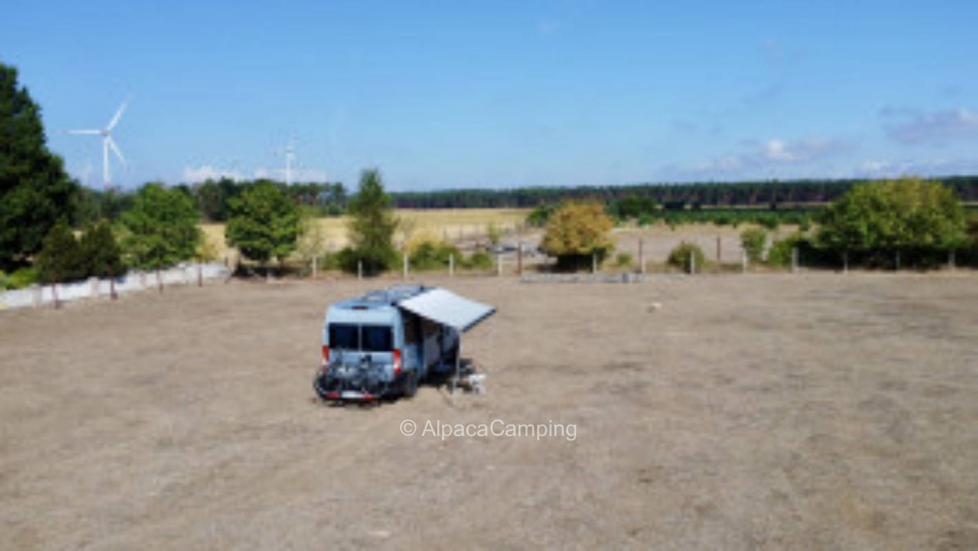 At sheep enclosure #1