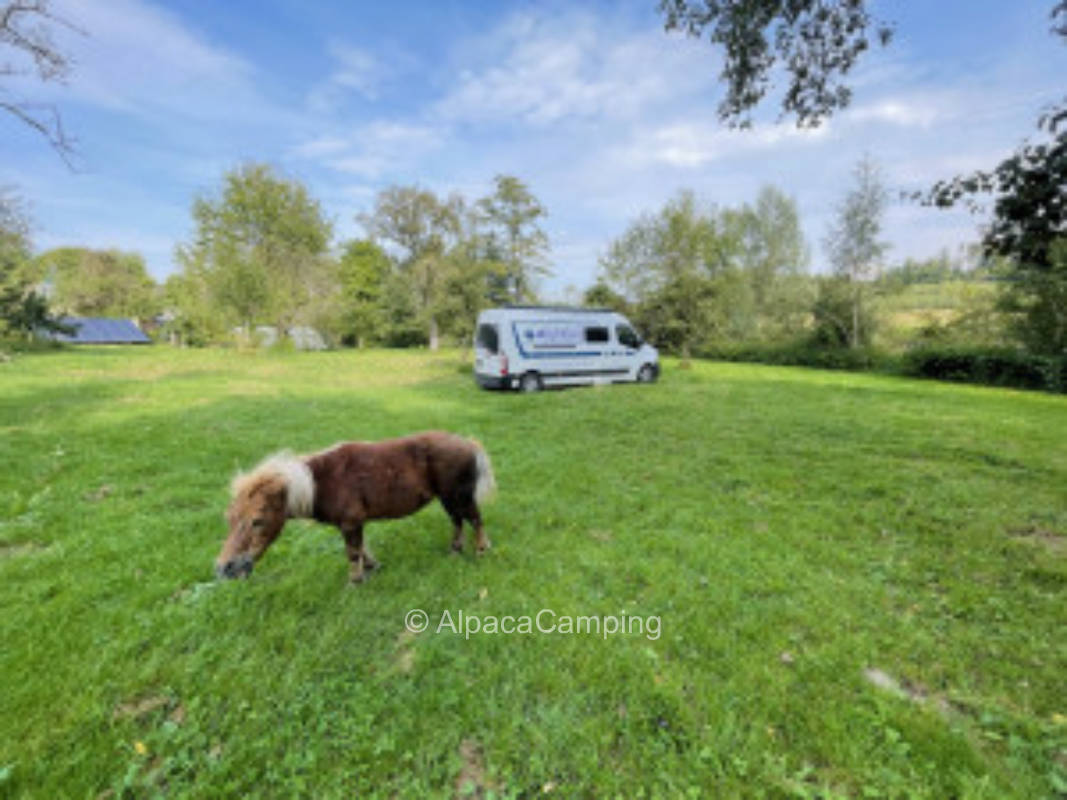 Where animals feel at home, people also flourish #1