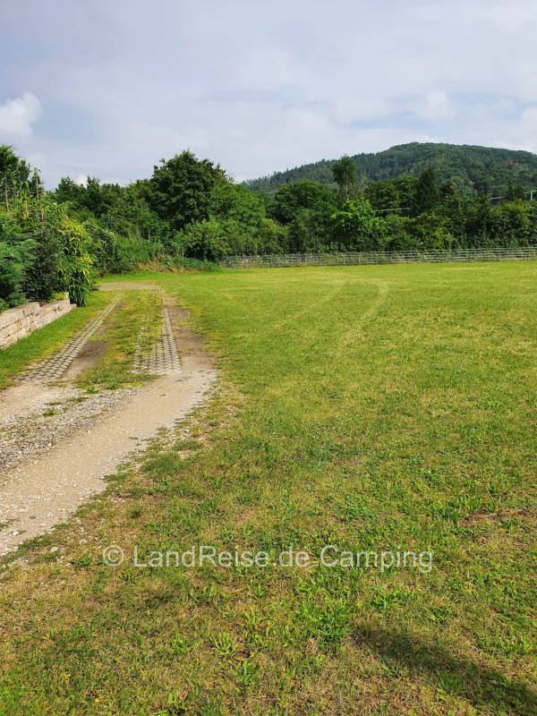 Maintained meadow with sheep in the adjacent property