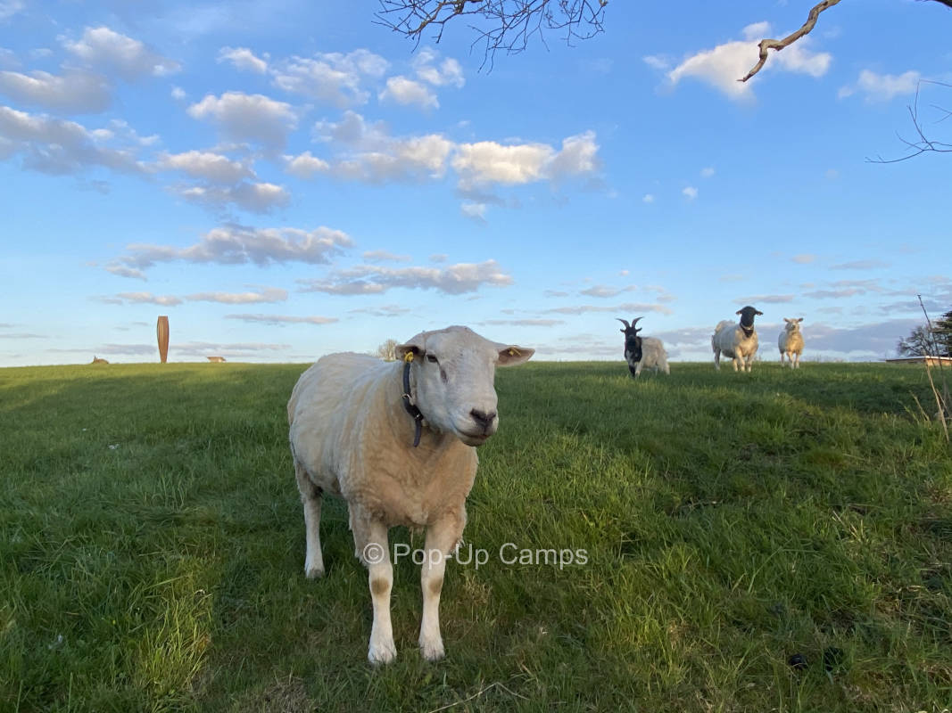 Far away from the hustle and bustle between Müritz and Mecklenburg Switzerland