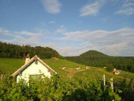 Campingwiese im Fränkischen Herz (Campspace 2788)