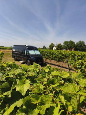 Camping am Weingut - inmitten der Weinberge!