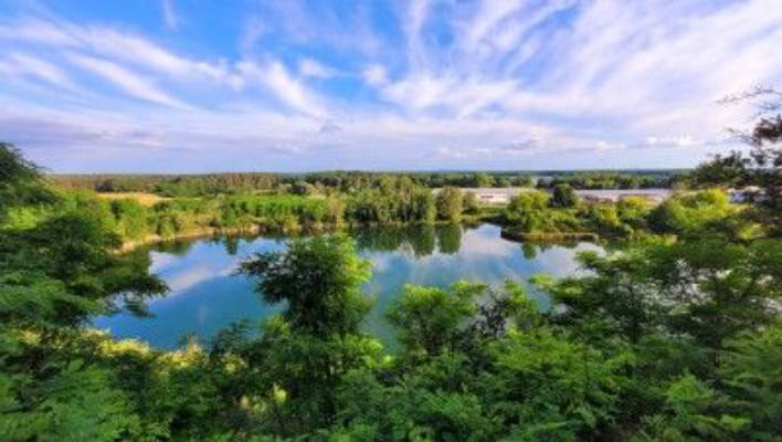 Stellplatz am Kiefernwald 