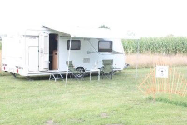 Orchard meadow in North Frisia