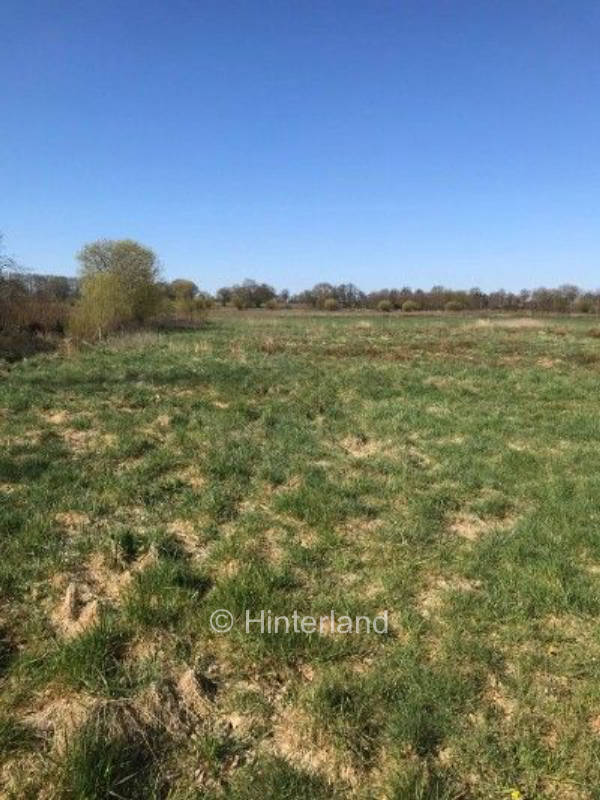 Self-sufficient in the meadow