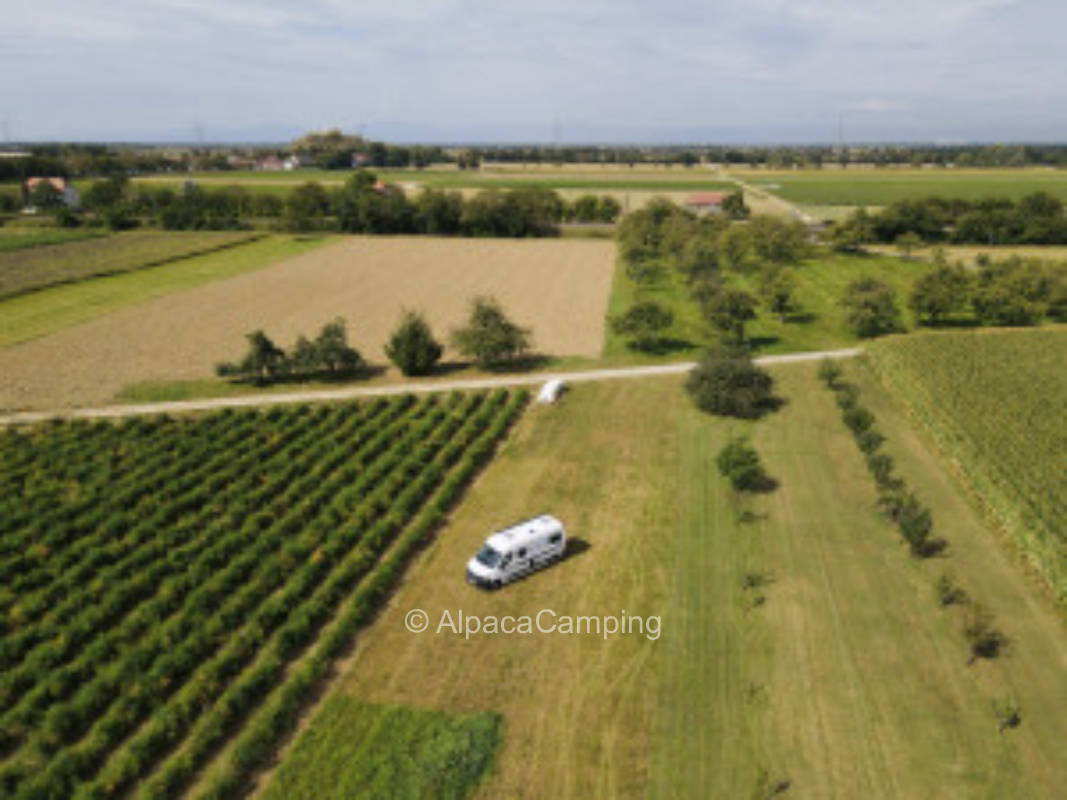 In the sunny Markgräflerland only 1 day bookable #1