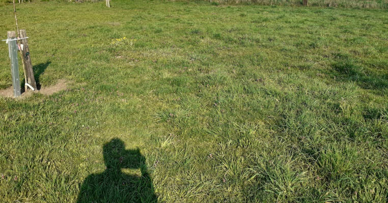 Windy corner by the field and sun all day