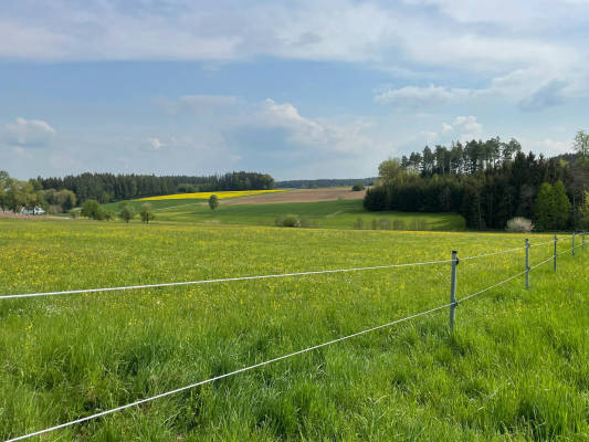 Nature in its purest form with wonderful views