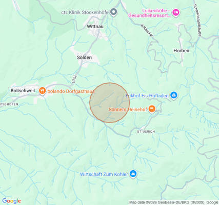 Forest bathing in the Bad Krozingen Heilwald