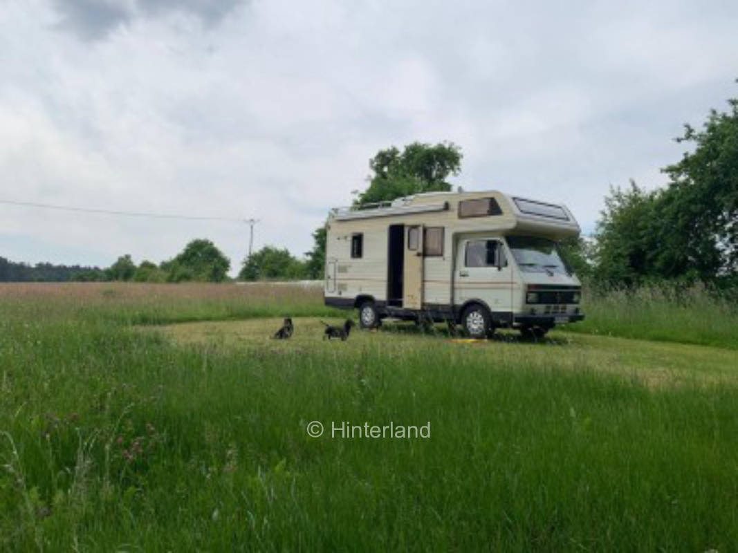 Wunderschöne Wiese mit alten Apfelbäumen 