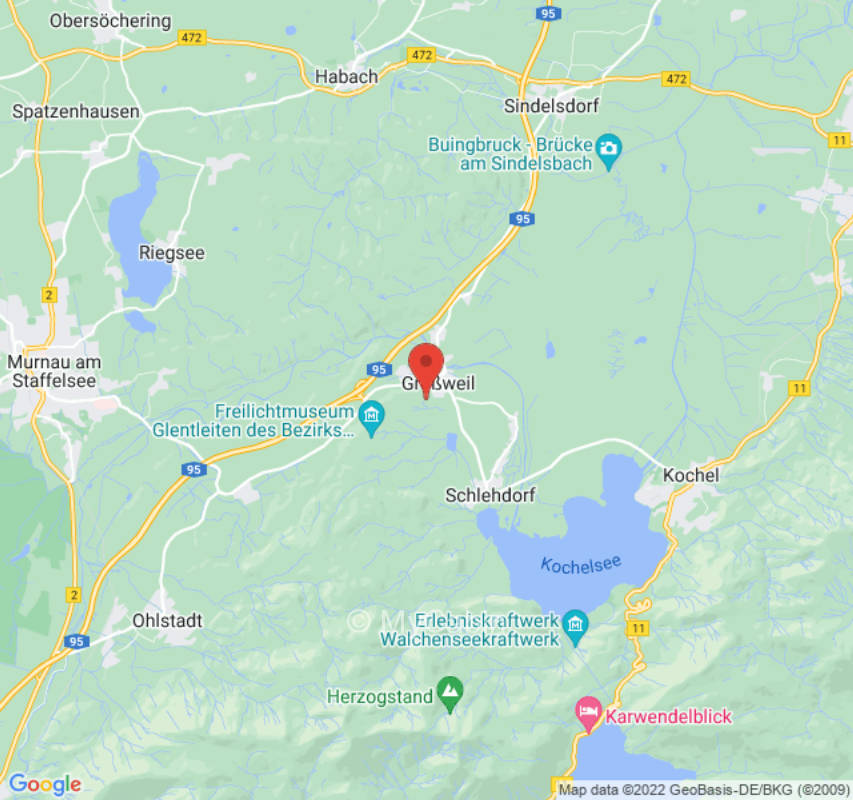 Wild garden with mountain view