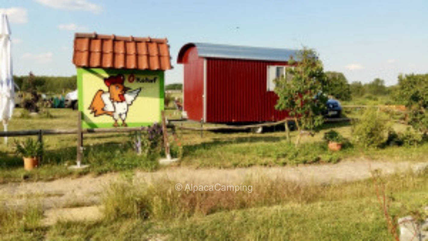 Pitch on the eco farm #1