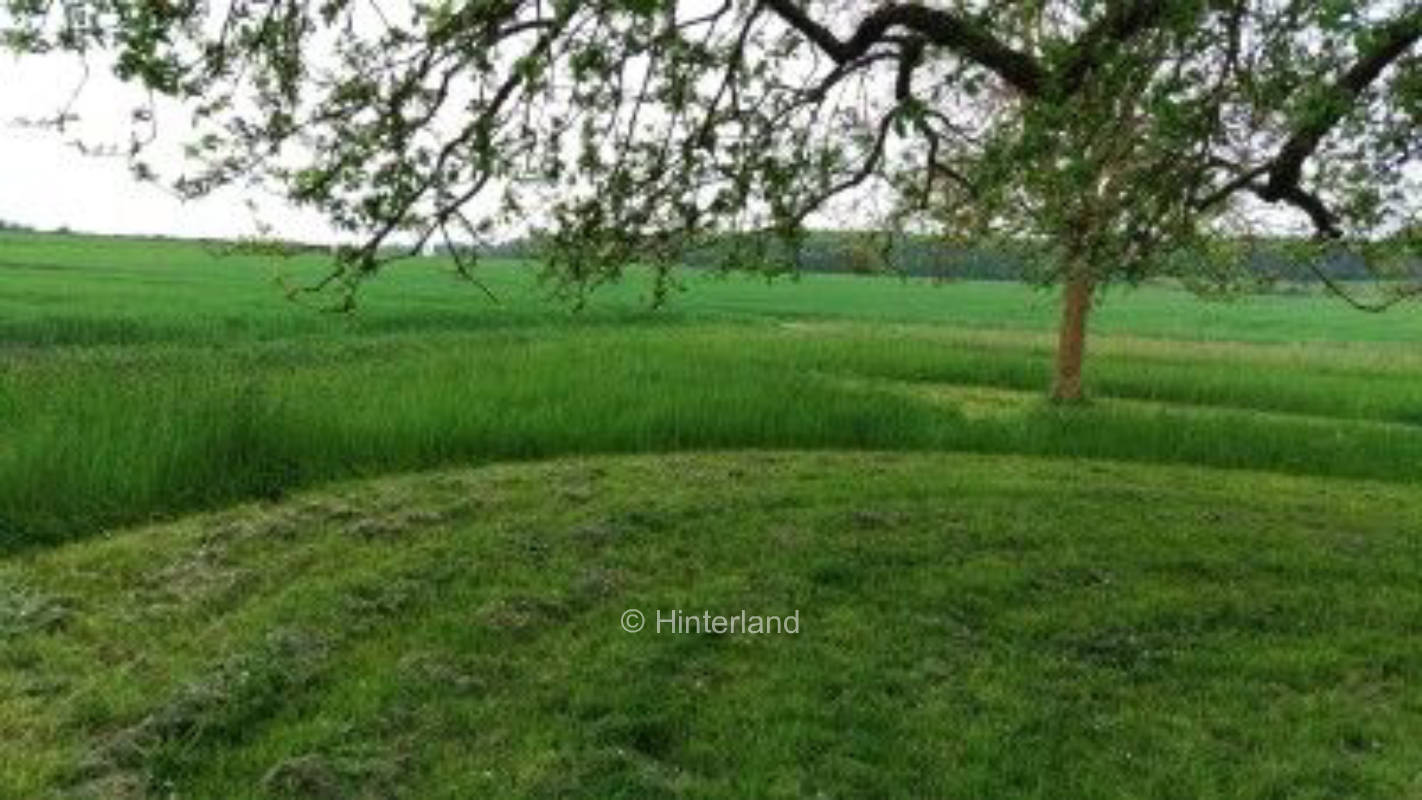 Streuobstwiese direkt neben dem Tierpark Hasenwald