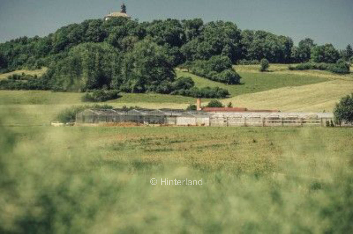 Wiese an der Gärtnerei mit idylischem Ausblick