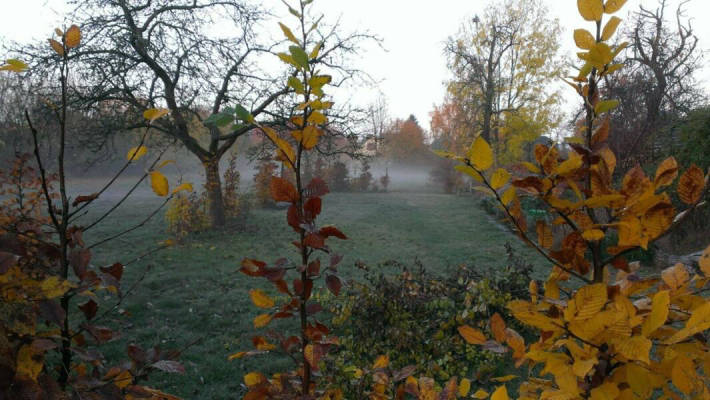 private pitch (Campspace 9627)