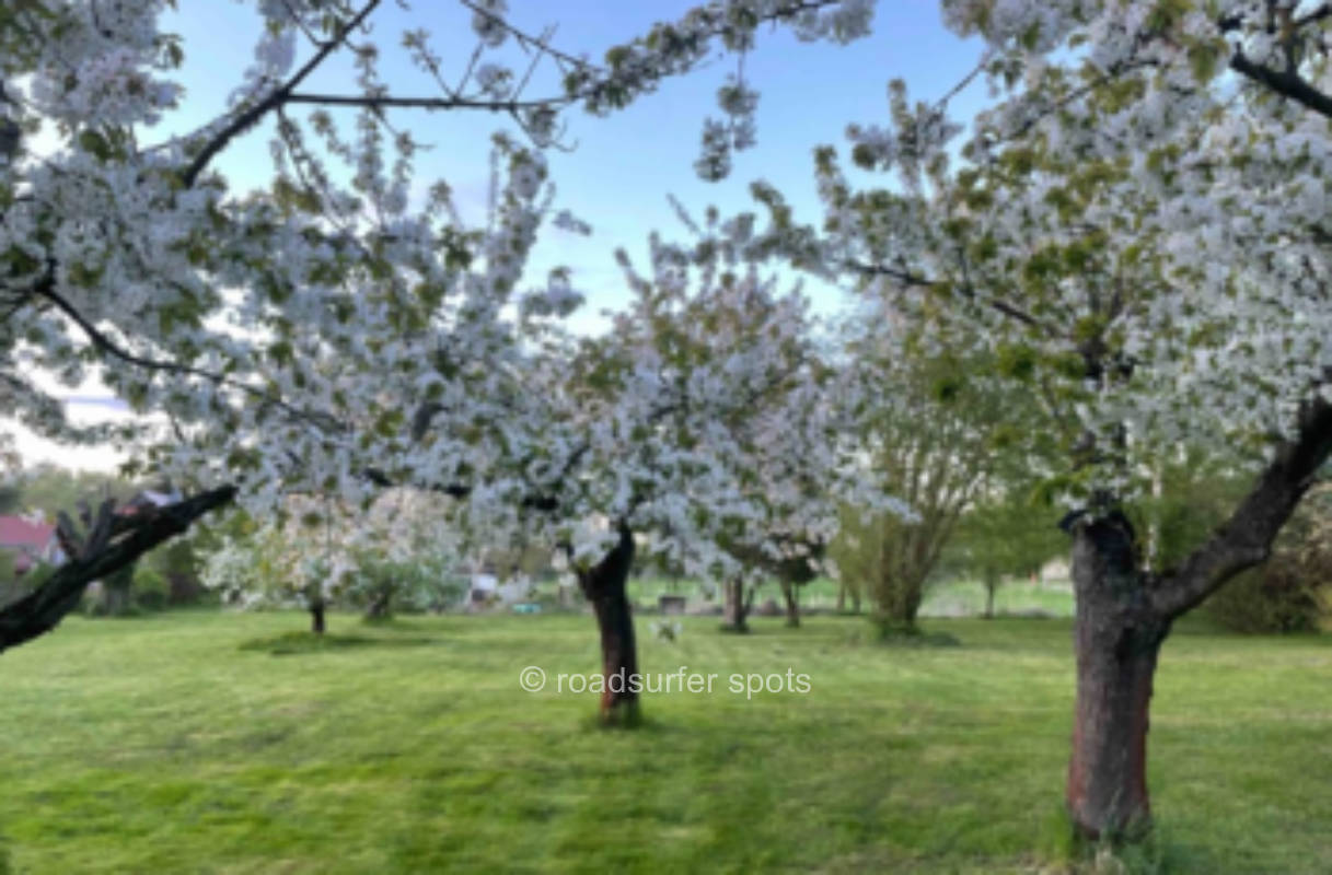 Camping in der Gartenwiese