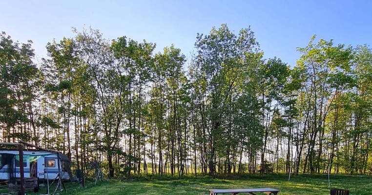 OLLYWOOD - Pitch in Forest and Meadow