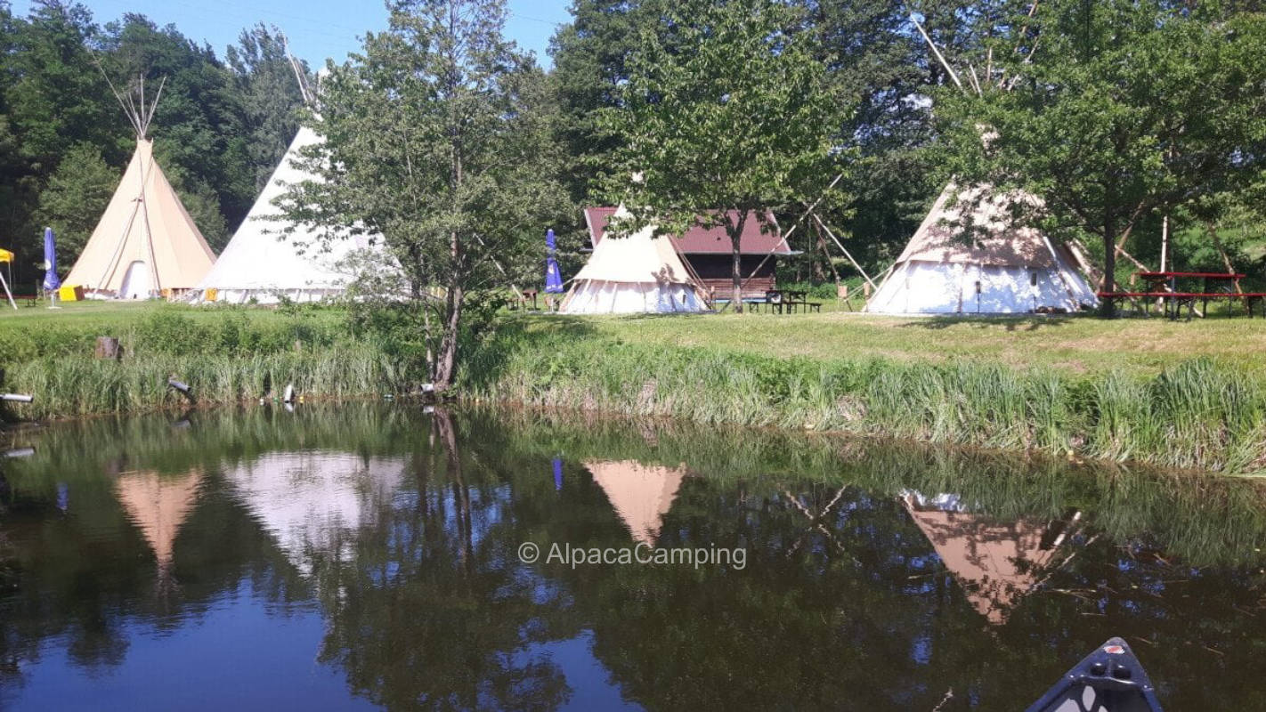 AlpacaCamping 2130