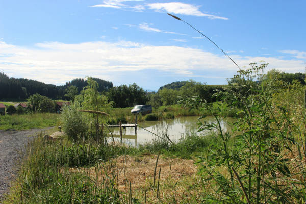 Nature camp by the natural pond