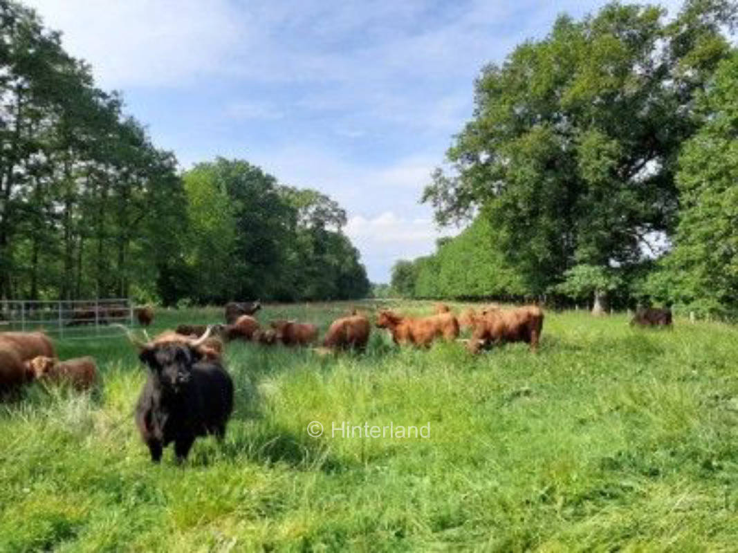 Farm Camping in the Elbtalaue Biosphere Reserve