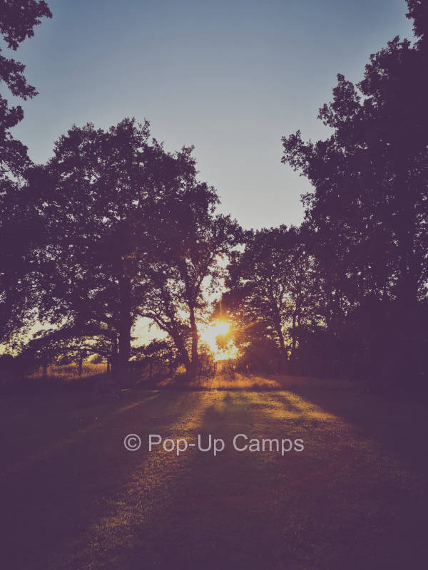 Naturwiese bei Schwerin