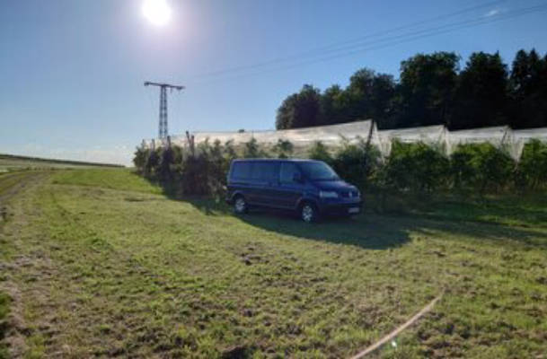 Camping Dream by the Apple Tree