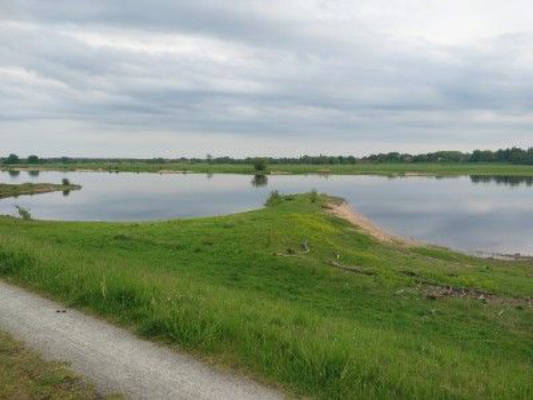 Elb-Idylle: Ruhiger Stellplatz direkt am Deich