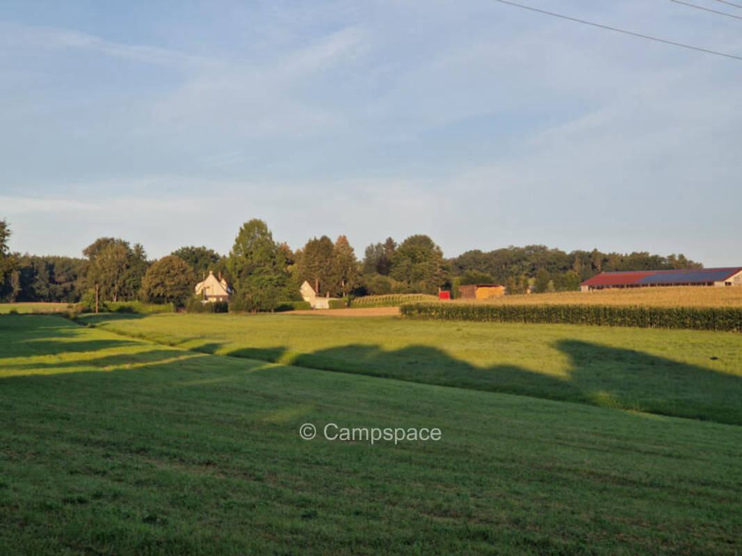 Obstbaumwiese
