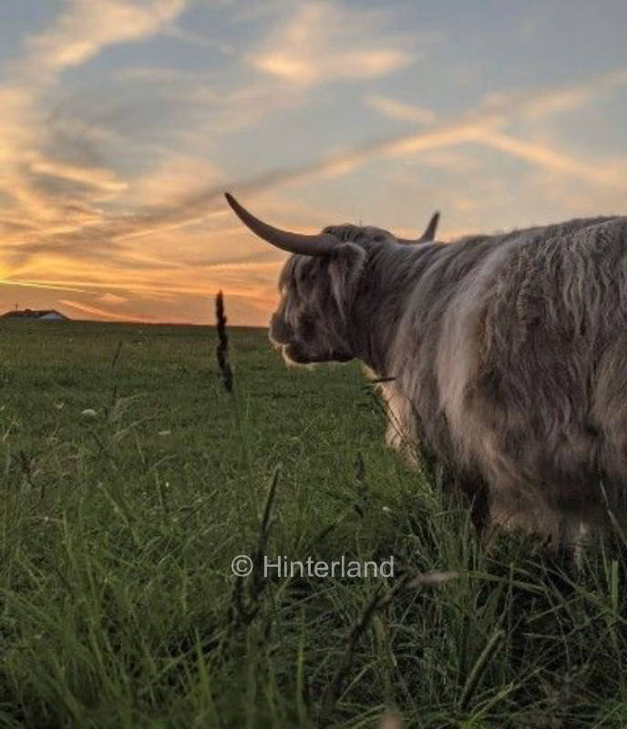 Übernachtung auf dem Gnadenhof