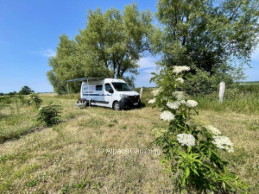 Single parking space in Kühlungsborn