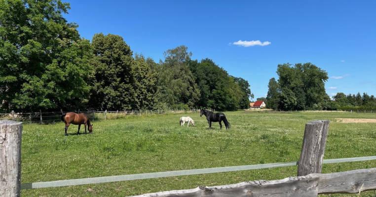 Kräuterhof Oderbruch