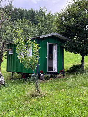 Living in a caravan surrounded by fruit trees