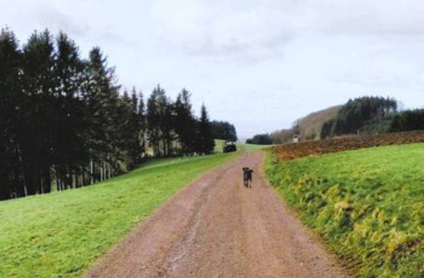 Camping mit viel Ruhe und Weitblick