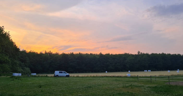 Wiese zwischen Wald und Pferdekoppel