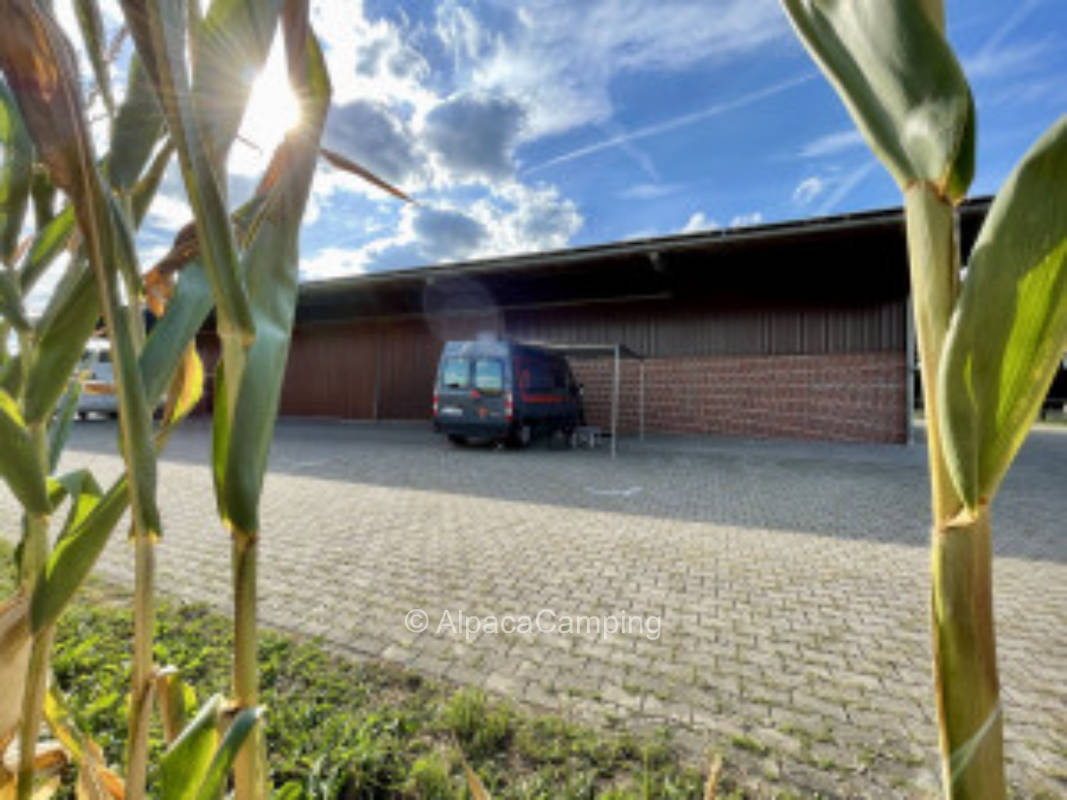 Westfälische Parklandschaft #1