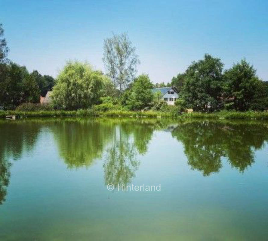 At the edge of the forest with natural pond: vacations at the mill pond