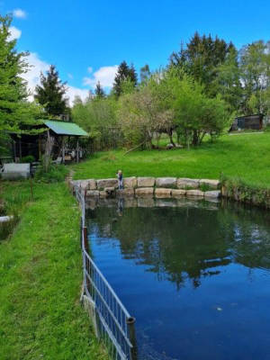 Naturcamping am Weiher – Pure Relaxation