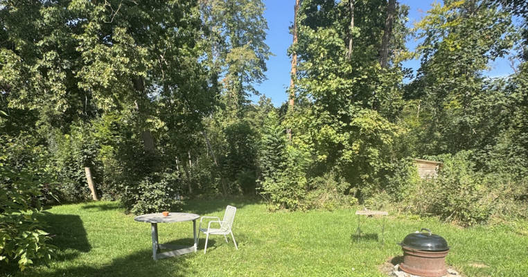 Campsite at the Forest Edge
