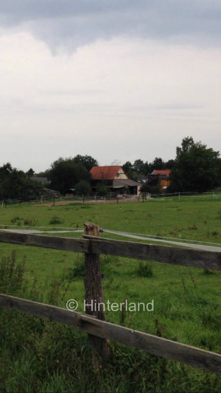 Horse pasture in the Eifel