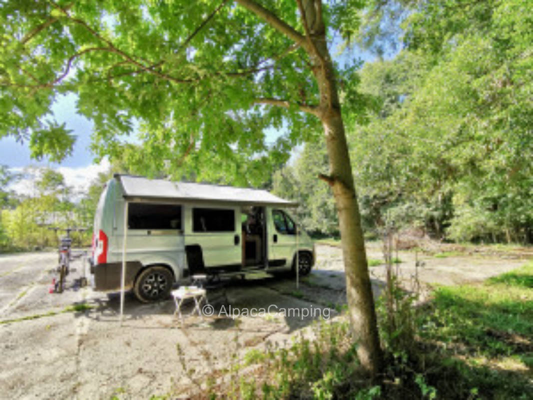 At the paddock between trees #3