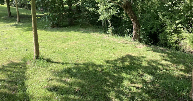 In meinem großen Garten