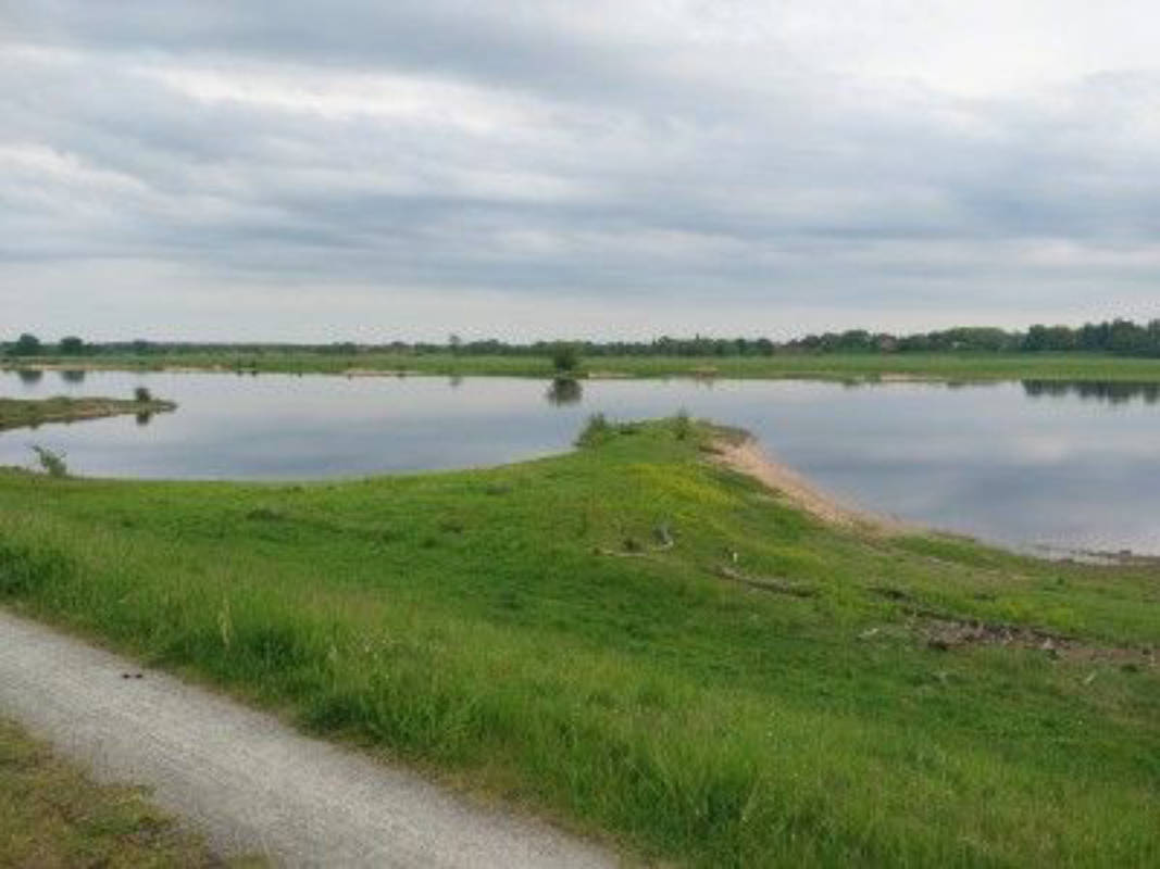 Elb-Idylle: Ruhiger Stellplatz direkt am Deich