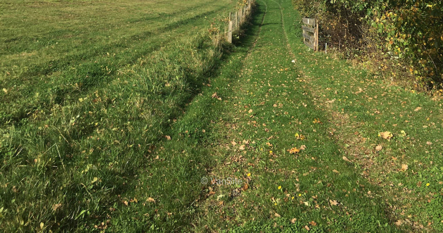 Idylle im Grünen