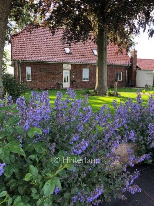 Camping on family Christmas tree farm