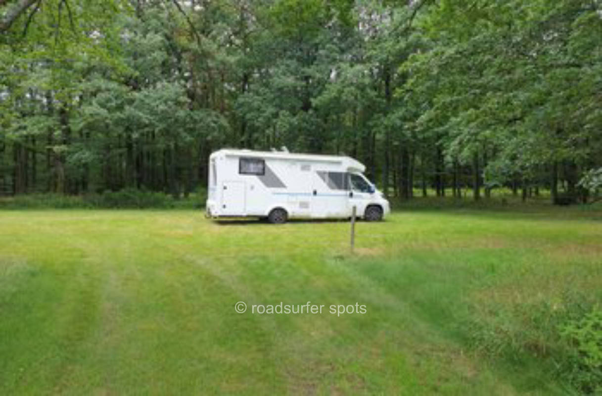 Nature place in the forest