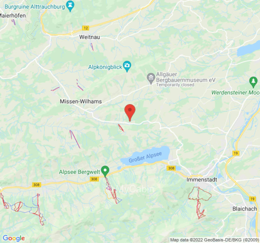 Waldrand mit Bächle