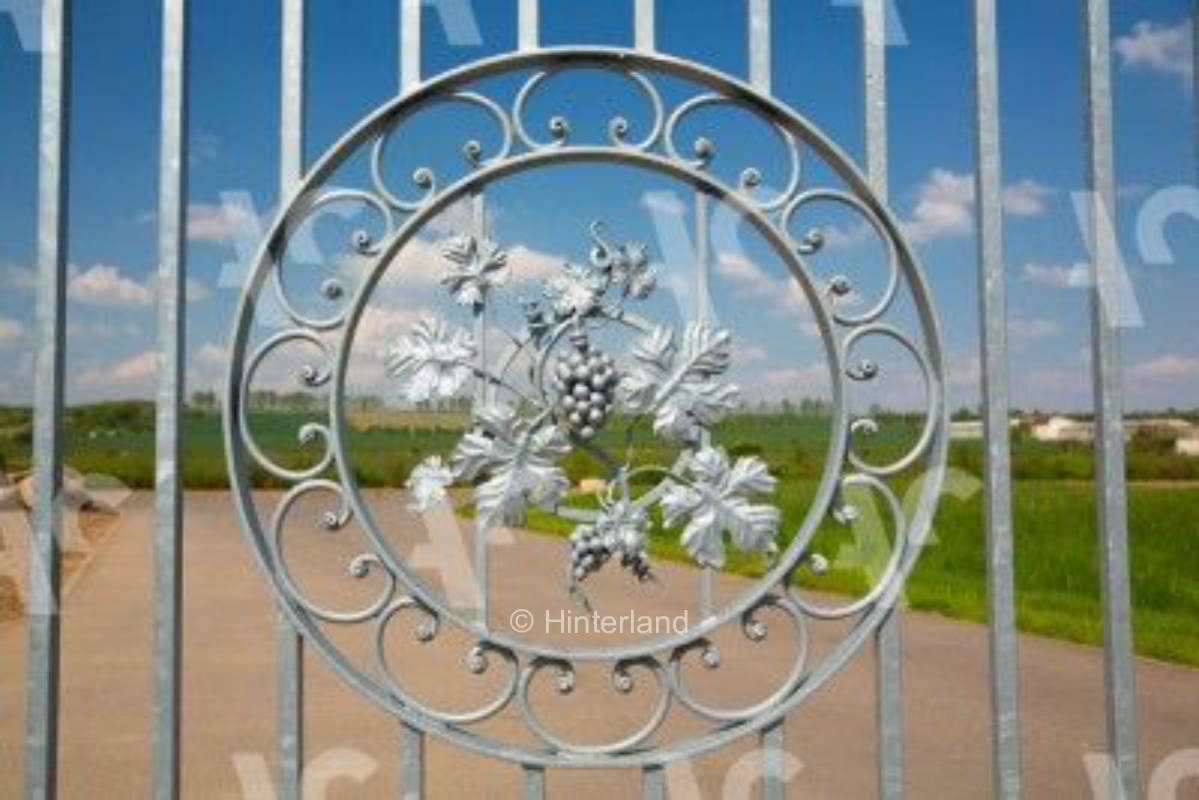 Platz Weitblick beim Winzer, privater Stellplatz